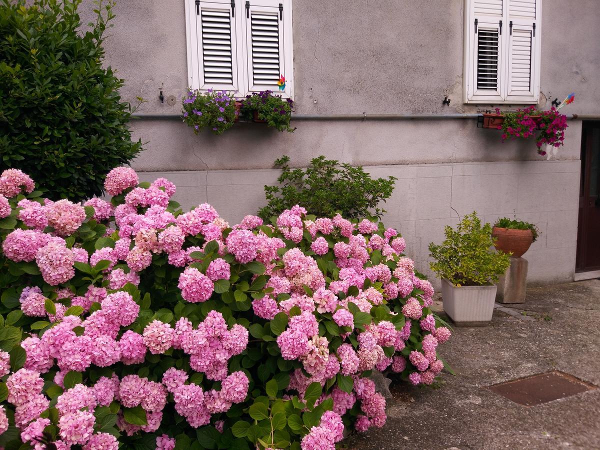 A Casa Di Silvy Trieste Exterior foto