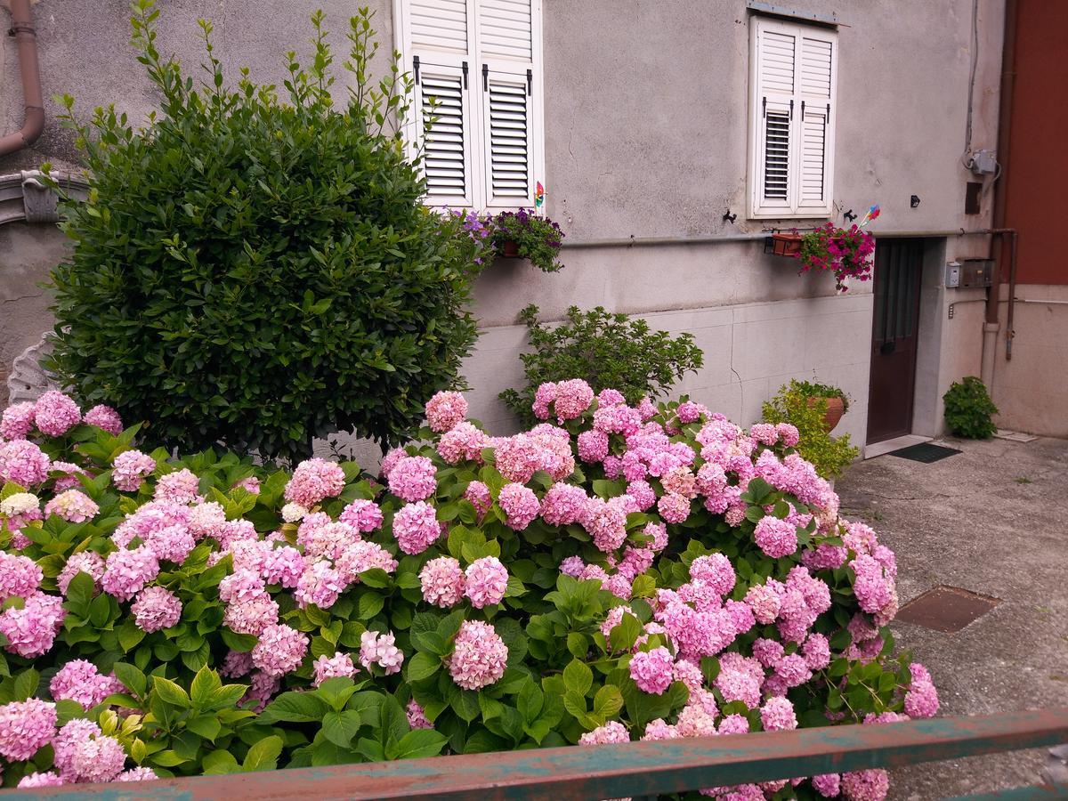 A Casa Di Silvy Trieste Exterior foto